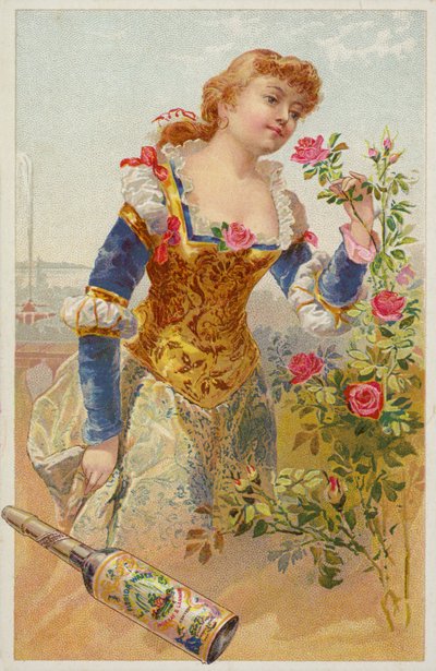 Signora che annusa le rose da American School