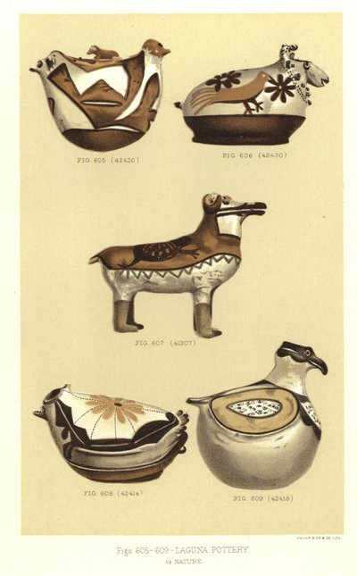 Ceramica Laguna da American School