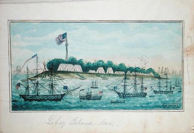 Isola di Lobos, Messico da American School