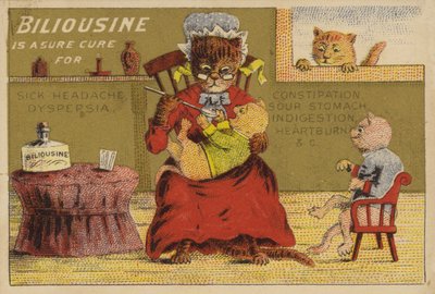 Ora della medicina per i gatti da American School