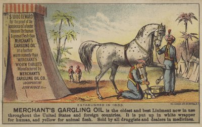 Olio di Gargling del Mercante da American School