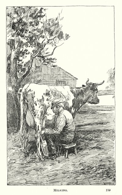 Mungitura (incisione) da American School