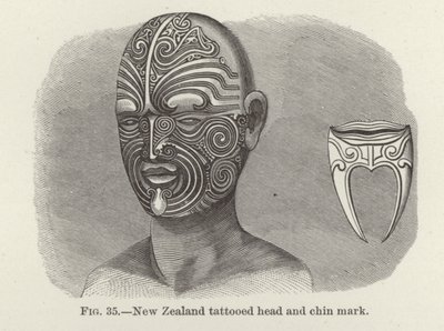 Testa tatuata della Nuova Zelanda e segno sul mento da American School