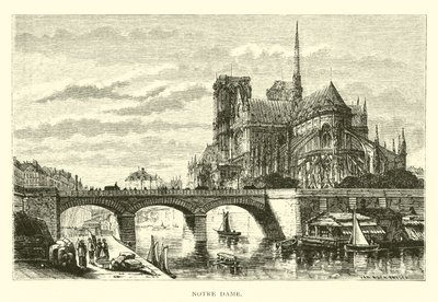 Notre Dame da American School