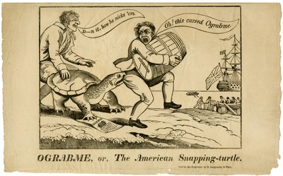 Ograbme, o La Tartaruga Americana, 1808 da American School