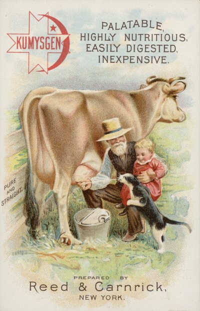 Vecchio che munge una mucca, con bambino e gatto da American School