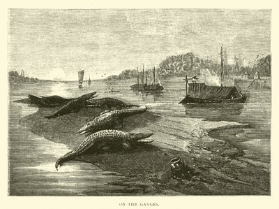 Sul Gange da American School