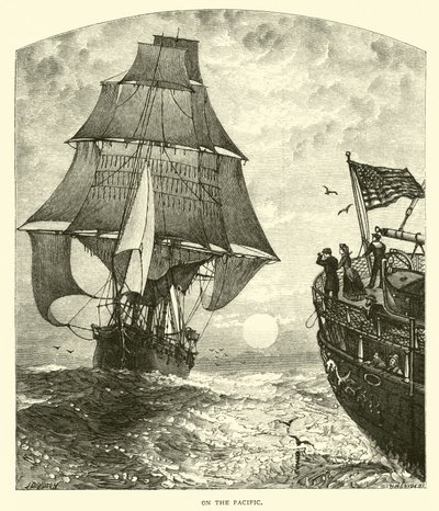 Sul Pacifico da American School