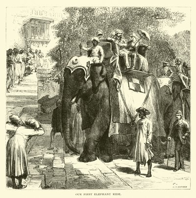 Il nostro primo giro in elefante da American School