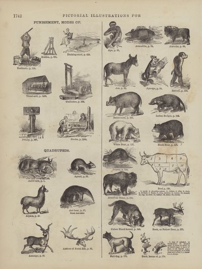 Pagina tratta dal Dizionario completo di Webster (George Bell da American School