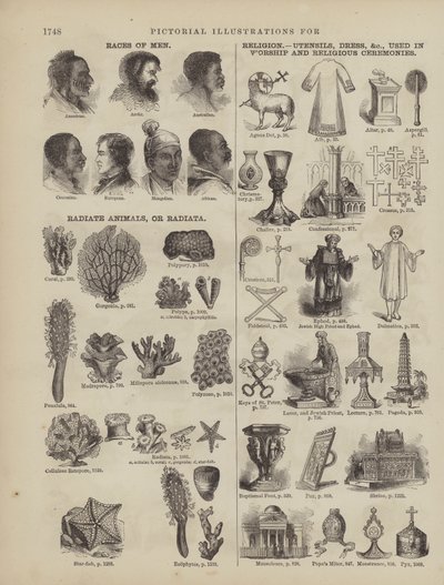Pagina dal Dizionario Completo di Webster (George Bell) da American School
