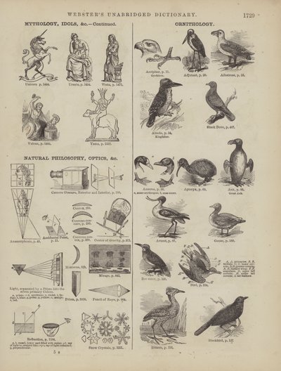 Pagina dal Dizionario Completo di Webster (George Bell) da American School