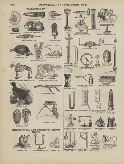 Pagina dal Dizionario Completo di Webster (George Bell) da American School