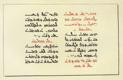 Pagina da una Bibbia siriaca da American School