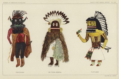 Pakiokwik, Ke Towa Bisena, Turtumsi (litografia a colori) da American School