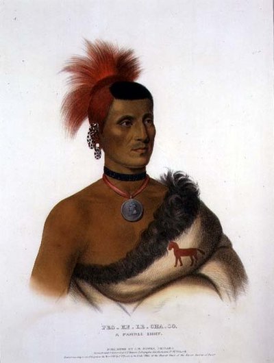 Pes-Ke-Le-Cha-Co, un capo Pawnee, pub. da J. T. Bowen (1801-c.1856) 1841 da American School