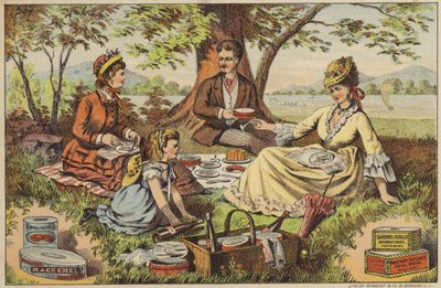 Picnic vicino all