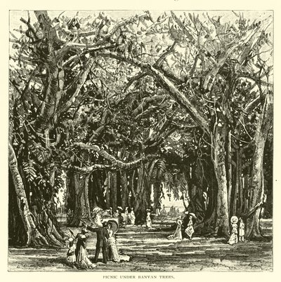 Picnic sotto gli alberi di banyan da American School