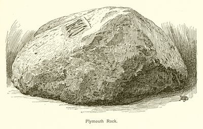 Plymouth Rock da American School
