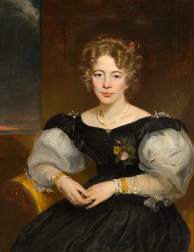 Ritratto di una signora da American School