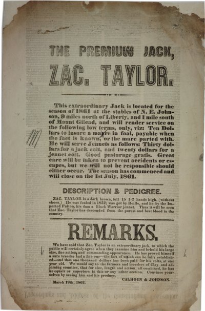 Procedimenti e discorso della Convenzione Costituzionale, c.19 marzo 1861 da American School
