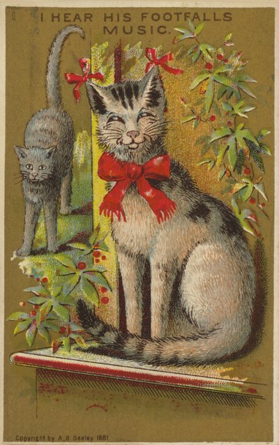 Gatto orgoglioso e sorridente da American School