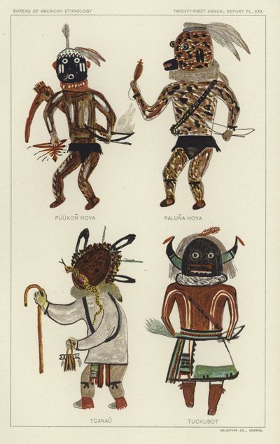 Puukon Hoya, Paluna Hoya, Tcanau, Tuckubot (litografia a colori) da American School