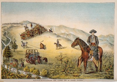 Rappresentazione della vita in un campo di bovini da American School