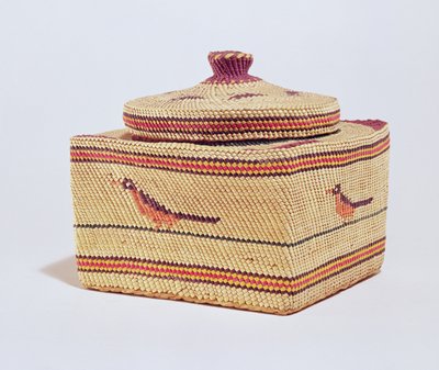 Cesto Salish raffigurante uccelli, dalla costa nord-occidentale da American School