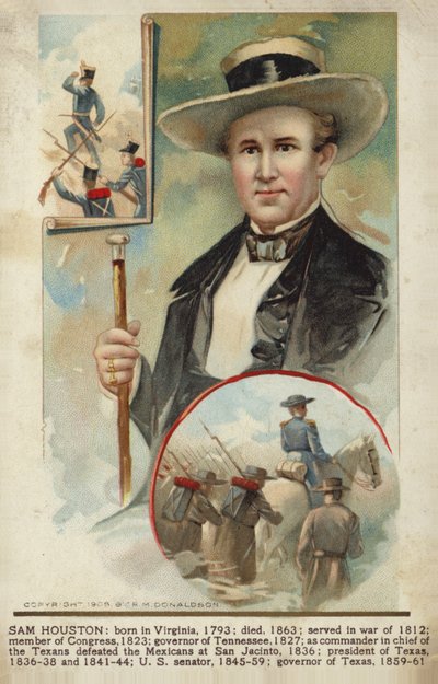 Sam Houston da American School