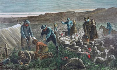 Massacro di pecore durante la guerra delle gamme di Pleasant Valley, Arizona da American School
