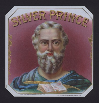 Silver Prince da American School