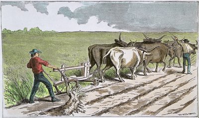 Coloni del West americano, c.1880 (incisione colorata) da American School