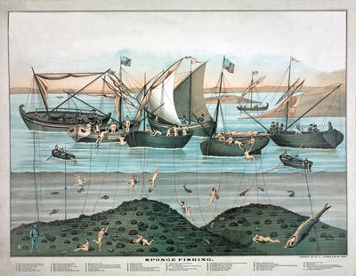 Pesca con le spugne, pub. 1897 (litografia a colori) da American School