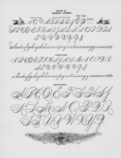 Lettere Standard; Mano delle Signore; Lettere Maiuscole (incisione) da American School