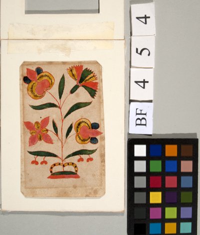Studio di Fiori da American School