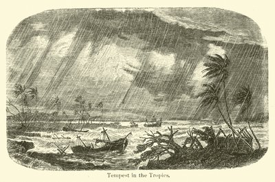 Tempesta nei tropici da American School