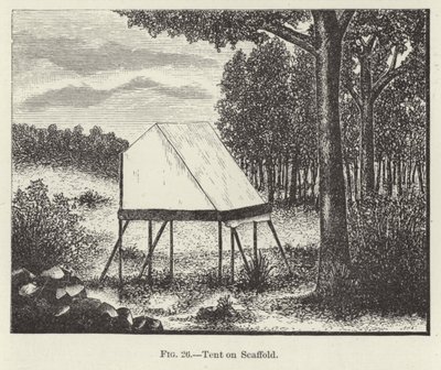 Tenda su impalcatura da American School