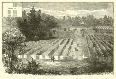 Il cimitero di Andersonville dove furono sepolti 14.000 prigionieri dell