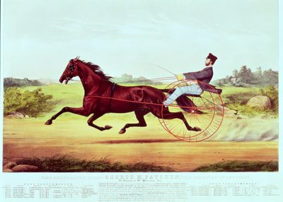 Il celebre cavallo, George M. Patchen, il campione del turf, inciso da Nathaniel Currier e James Merritt Ives, 1860 da American School