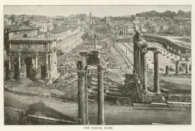 Il Foro, Roma da American School
