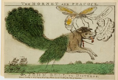 Il Calabrone e il Pavone, o John Bull in difficoltà, 1813 da American School
