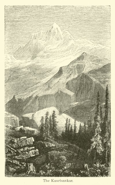 Il Kaurisankar da American School