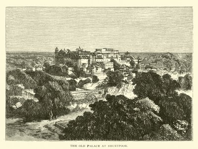 Il vecchio palazzo a Bhurtpoor da American School