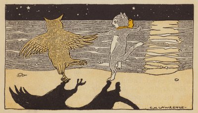 Il gufo e la gattina da American School