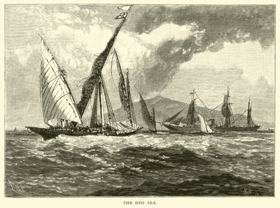 Il Mar Rosso da American School