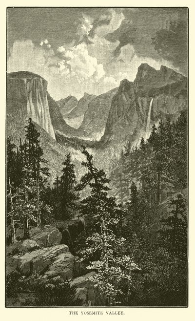 La valle di Yosemite da American School