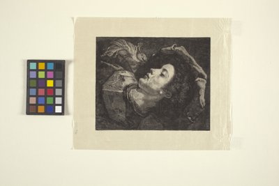 Il giovane scudiero da American School