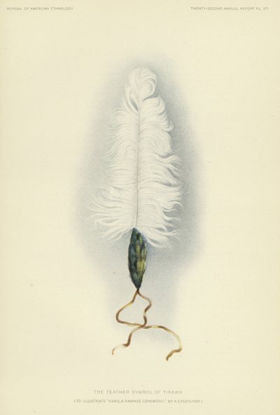 La piuma simbolo di Tirawa (litografia a colori) da American School