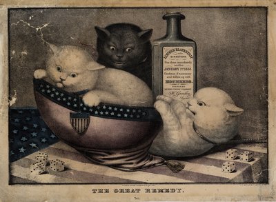Il grande rimedio, pubblicato da E.B. e E.C. Kellogg, Hartford Ct., e Phelps e Watson, New York, e F.P. Whiting, New York, c. 1863 da American School